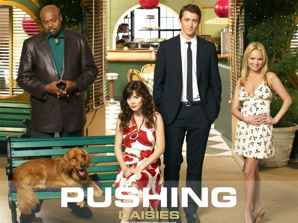 Pushing Daisies 靈指神探 #9 - 1024x768