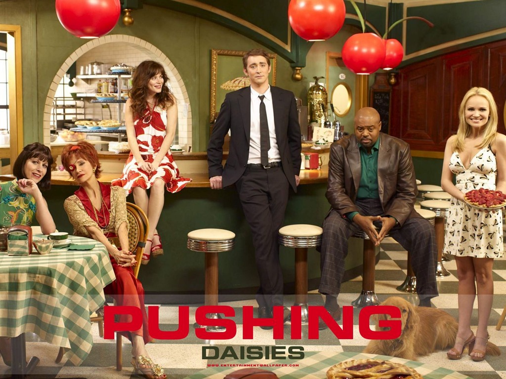 Pushing Daisies 靈指神探 #11 - 1024x768