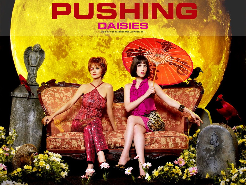 Pushing Daisies 靈指神探 #13 - 1024x768