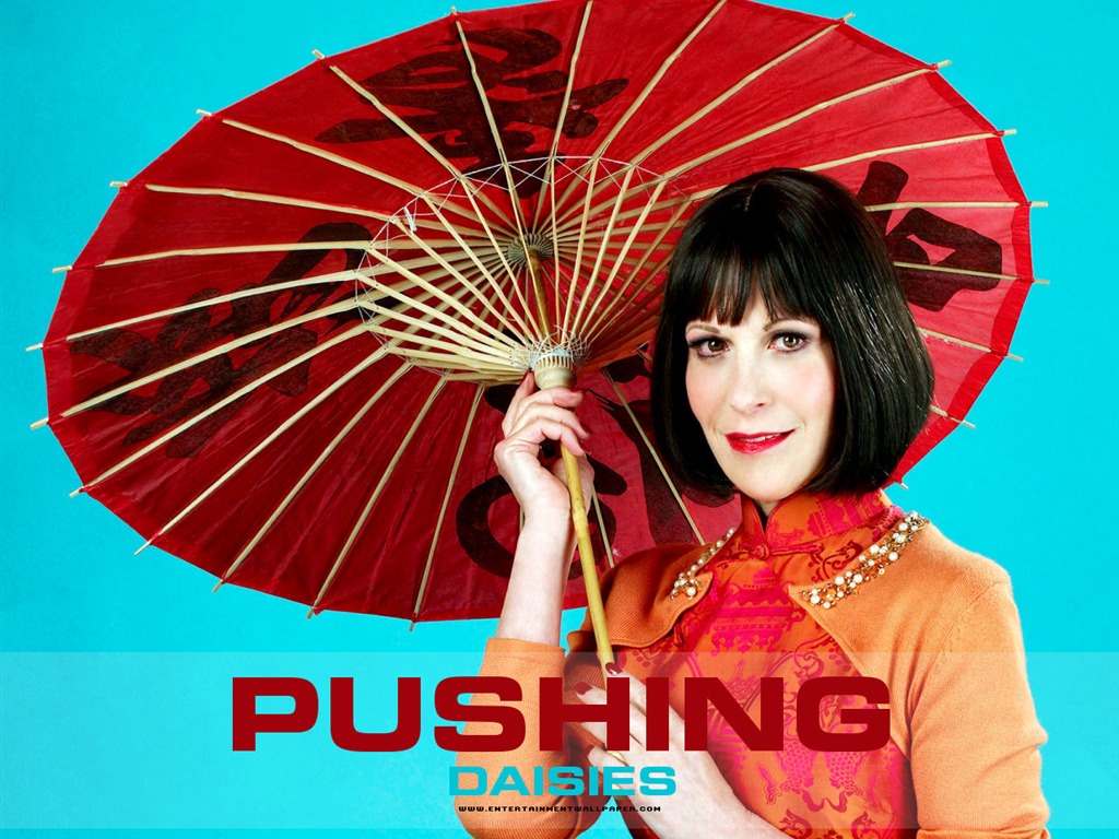 Pushing Daisies 靈指神探 #18 - 1024x768