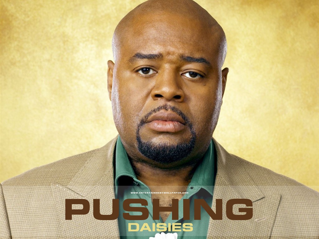 Pushing Daisies 靈指神探 #23 - 1024x768