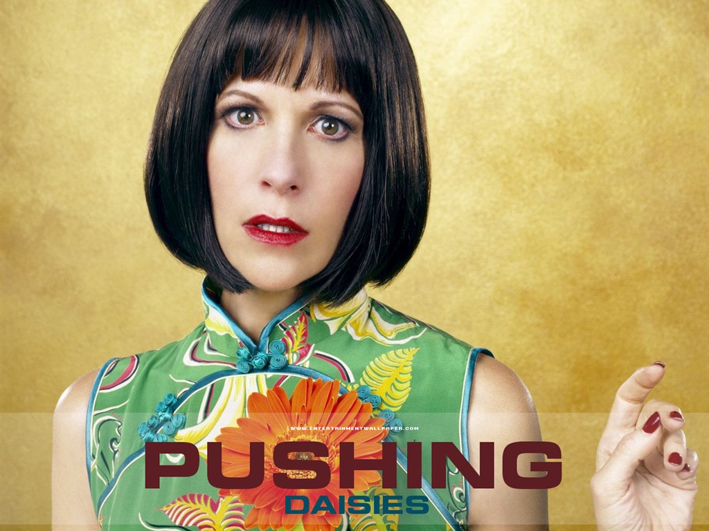 Pushing Daisies 靈指神探 #24 - 1024x768