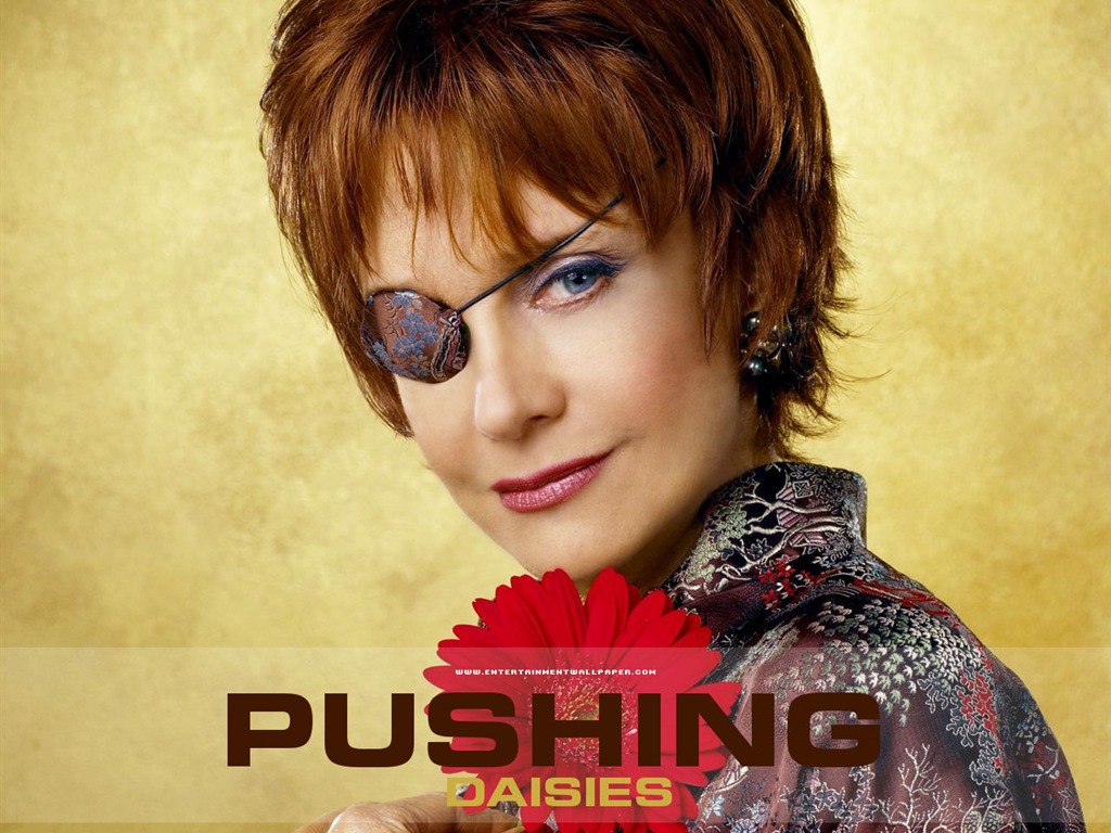 Pushing Daisies 靈指神探 #25 - 1024x768