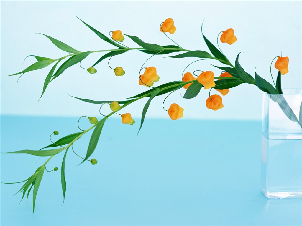 鮮花特寫(21) #18 - 1024x768