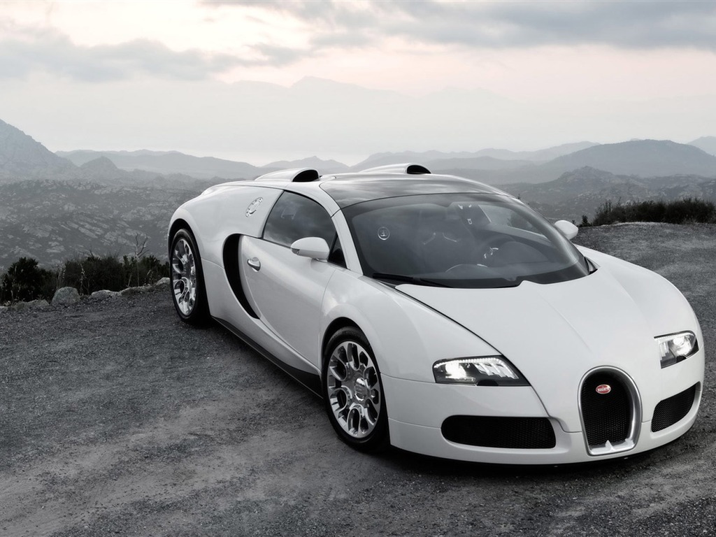 Bugatti Veyron 布加迪威龙 壁纸专辑(四)10 - 1024x768