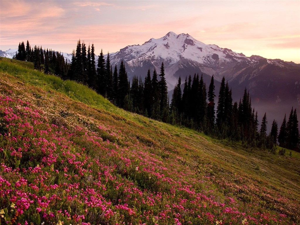 Webshots Scenery Wallpapers (10) #2 - 1024x768