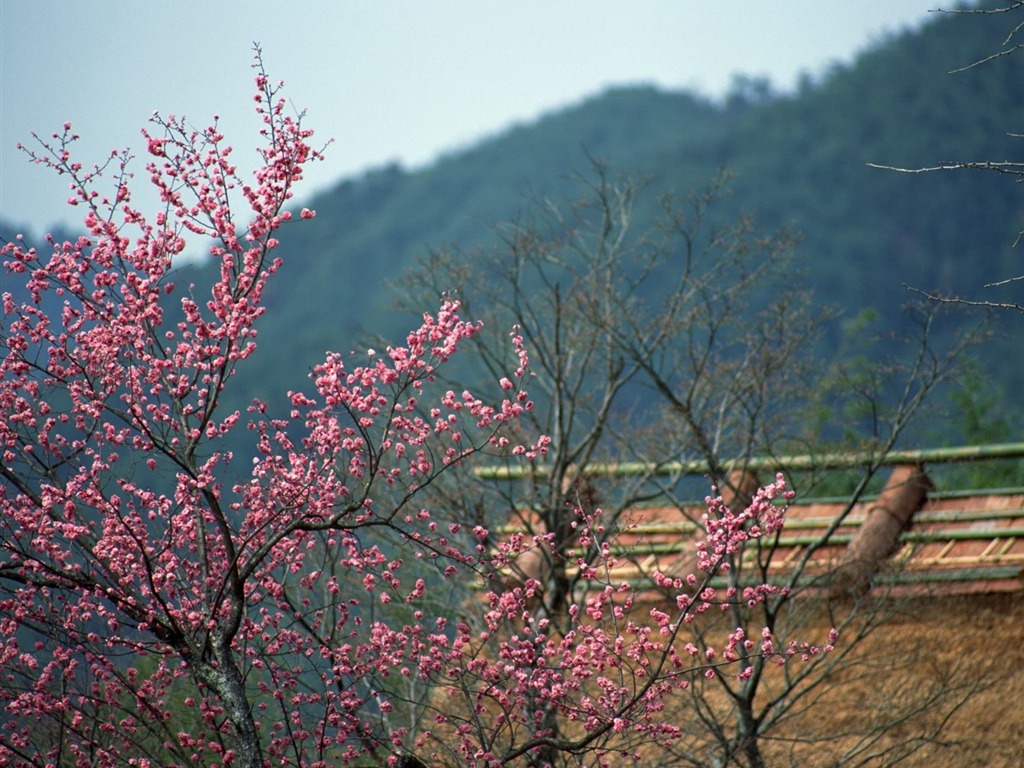 Natural Scenery Highlights (10) #4 - 1024x768