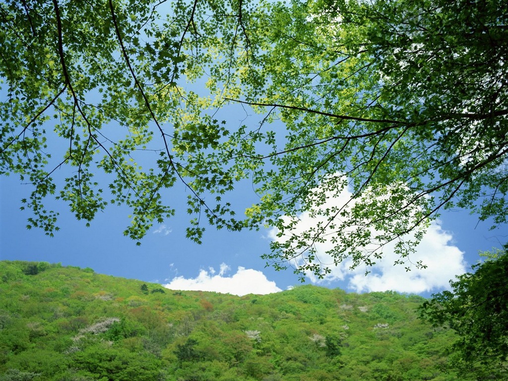 自然風光精選(十) #32 - 1024x768