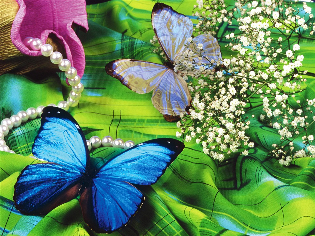 Papillons et fleurs album papier peint (1) #18 - 1024x768