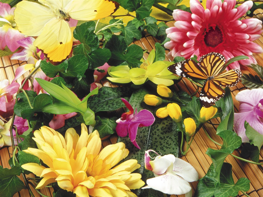 Papillons et fleurs album papier peint (1) #19 - 1024x768