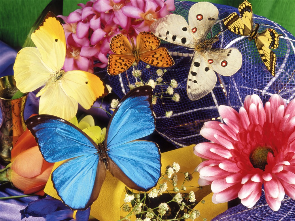 Papillons et fleurs album papier peint (1) #20 - 1024x768
