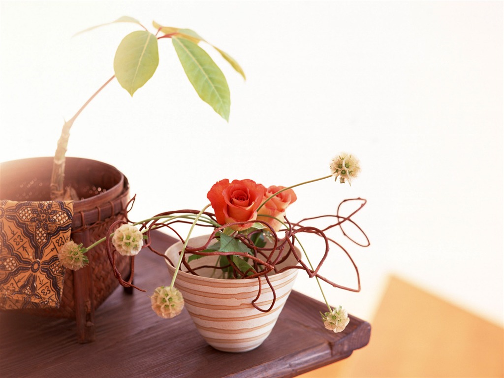室中花寫真壁紙 #23 - 1024x768