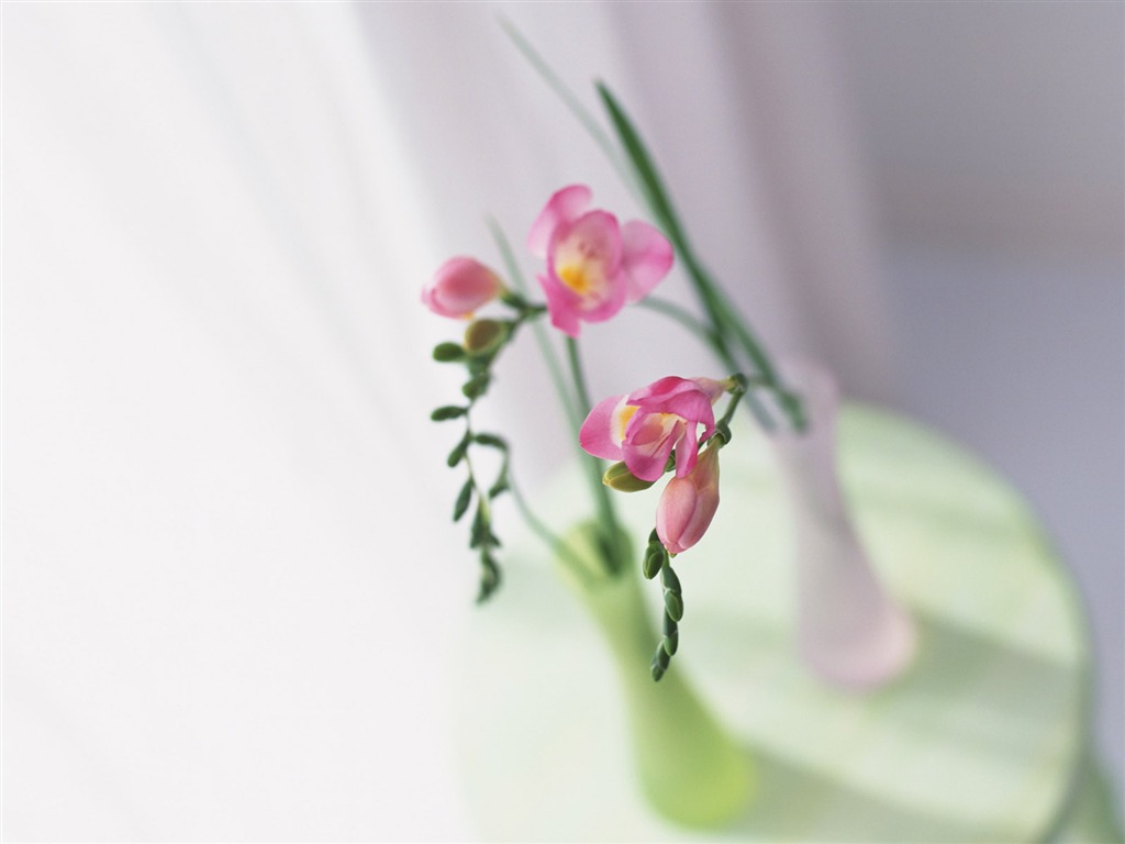 객실 꽃 사진 월페이퍼 #29 - 1024x768