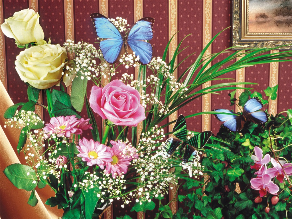 motýli a květiny tapety album (2) #18 - 1024x768