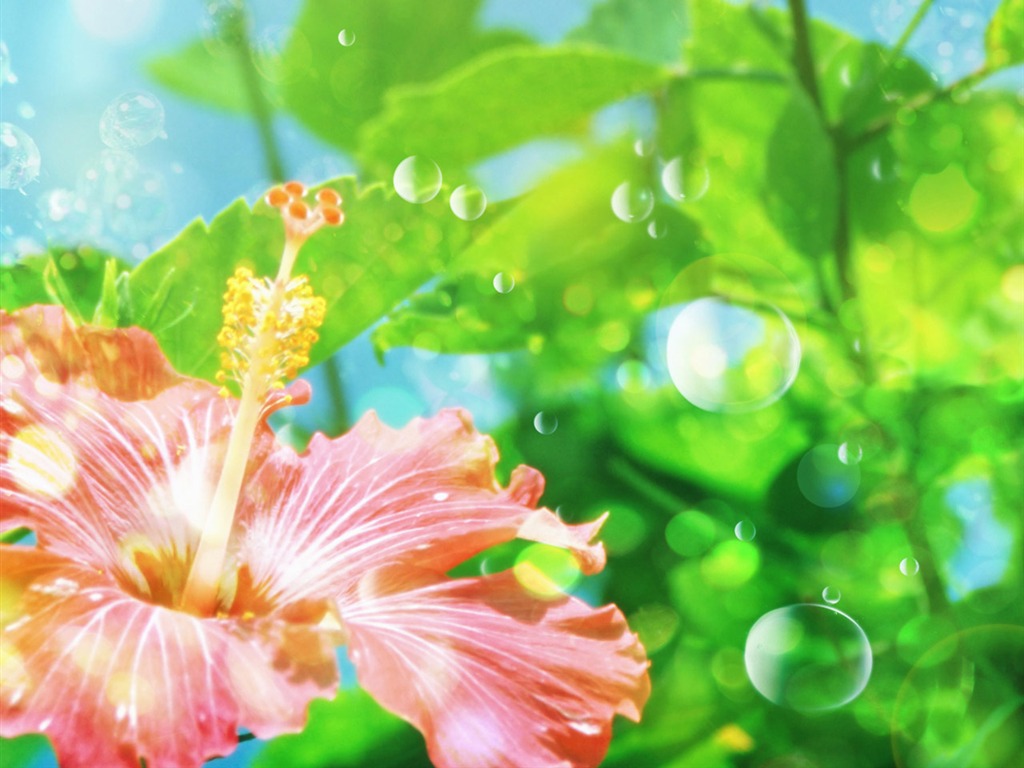 梦幻CG背景花卉壁纸1 - 1024x768