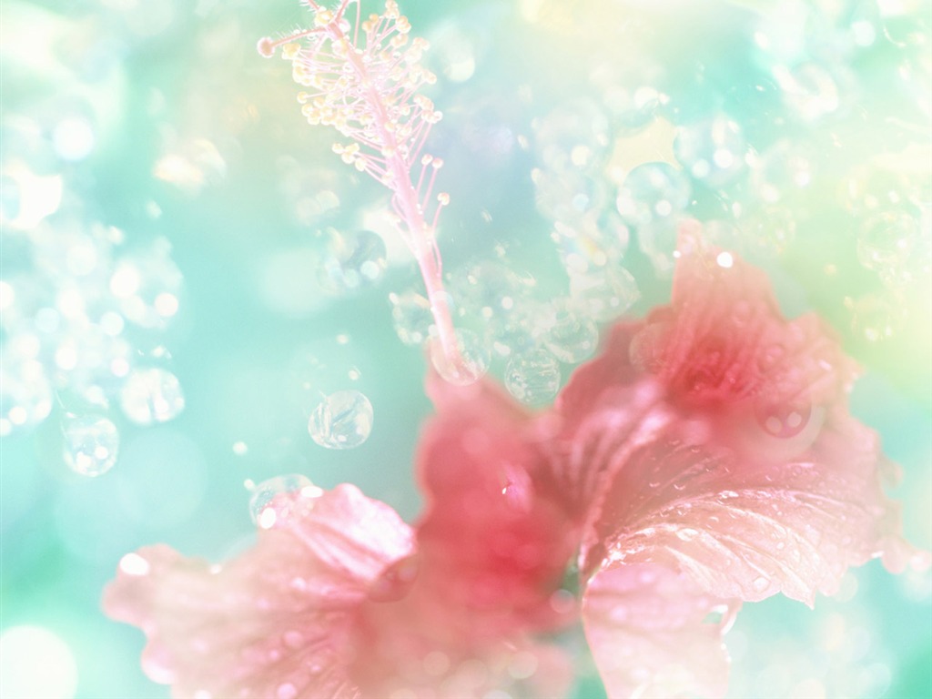 梦幻CG背景花卉壁纸5 - 1024x768