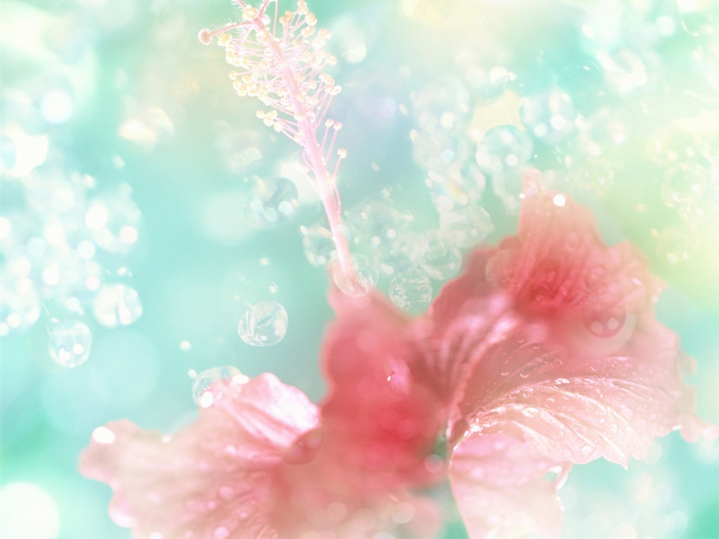 夢幻CG背景花卉壁紙 #5 - 1024x768