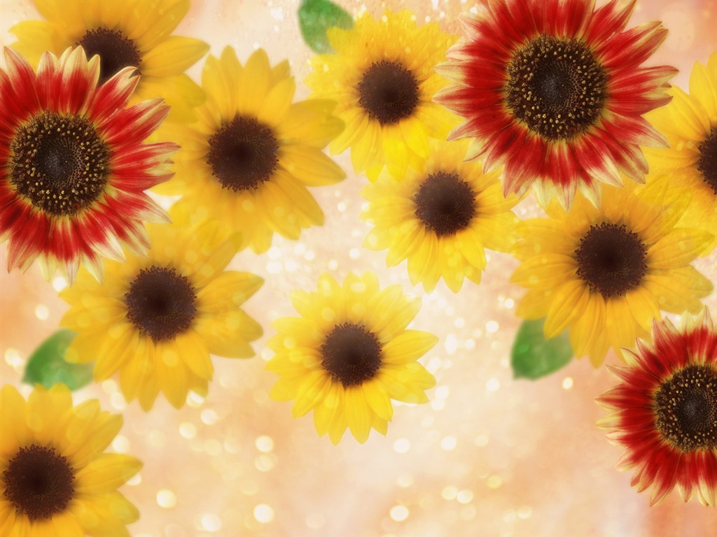 夢幻CG背景花卉壁紙 #14 - 1024x768