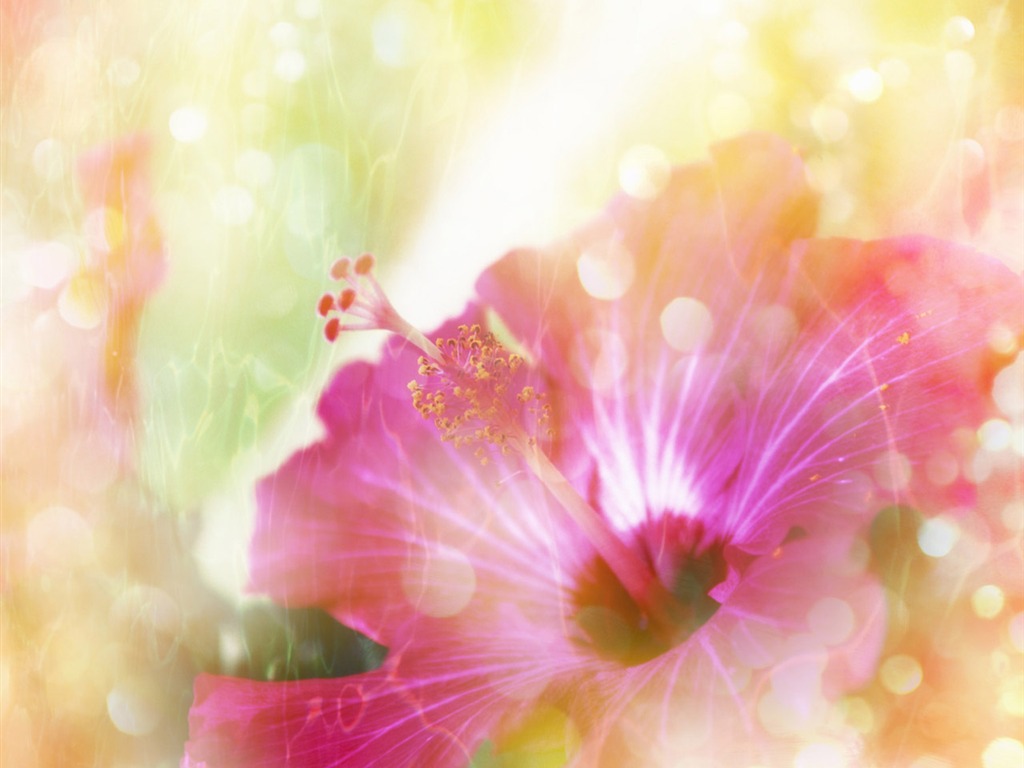 夢幻CG背景花卉壁紙 #18 - 1024x768