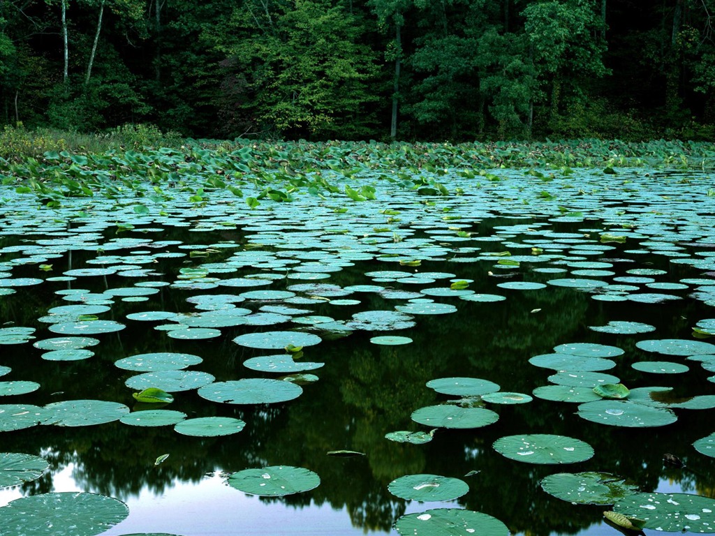 Webshots Landschaftsfotografie Tapete #12 - 1024x768