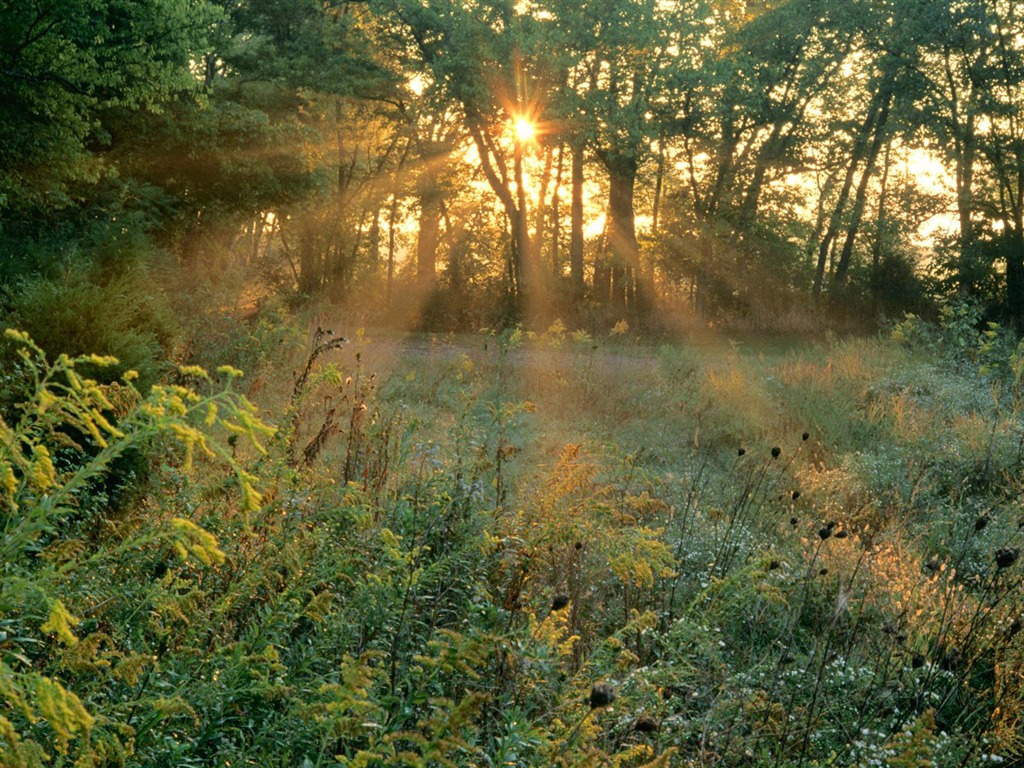 Webshots Landschaftsfotografie Tapete #17 - 1024x768