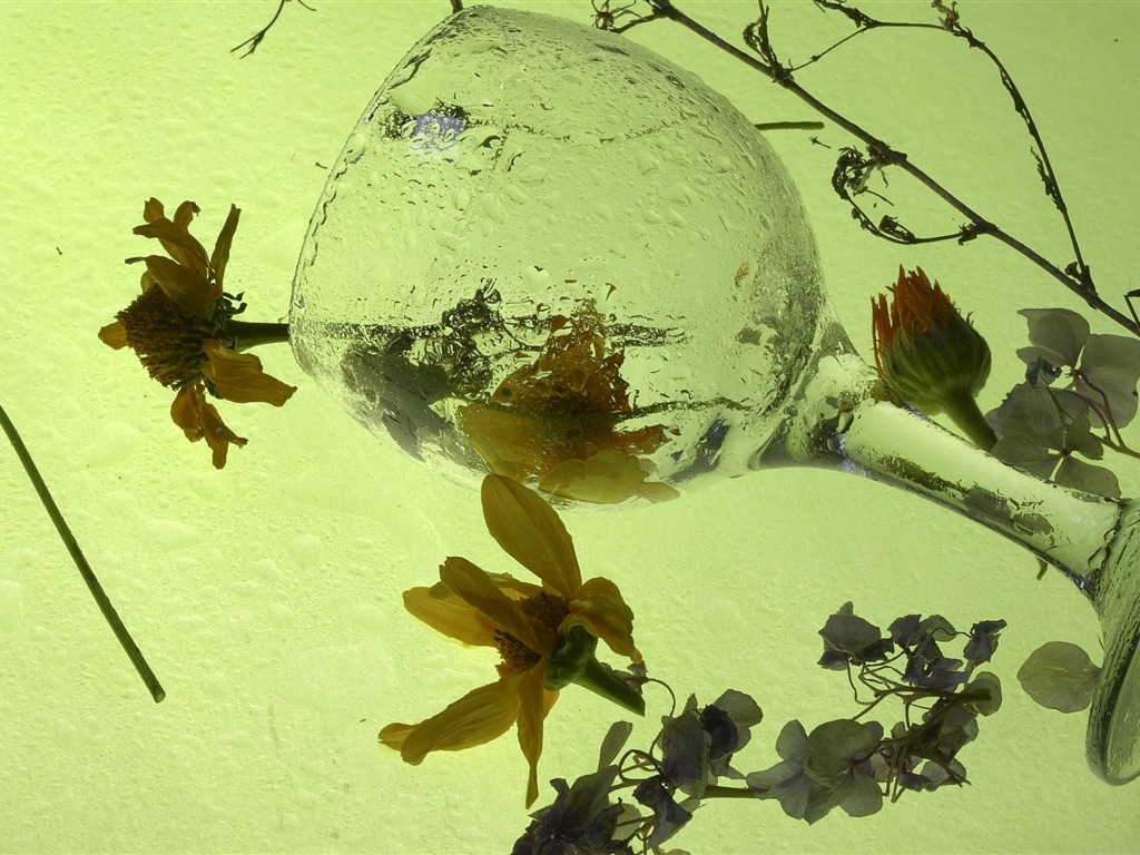 超大鮮花特寫 壁紙(五) #8 - 1024x768