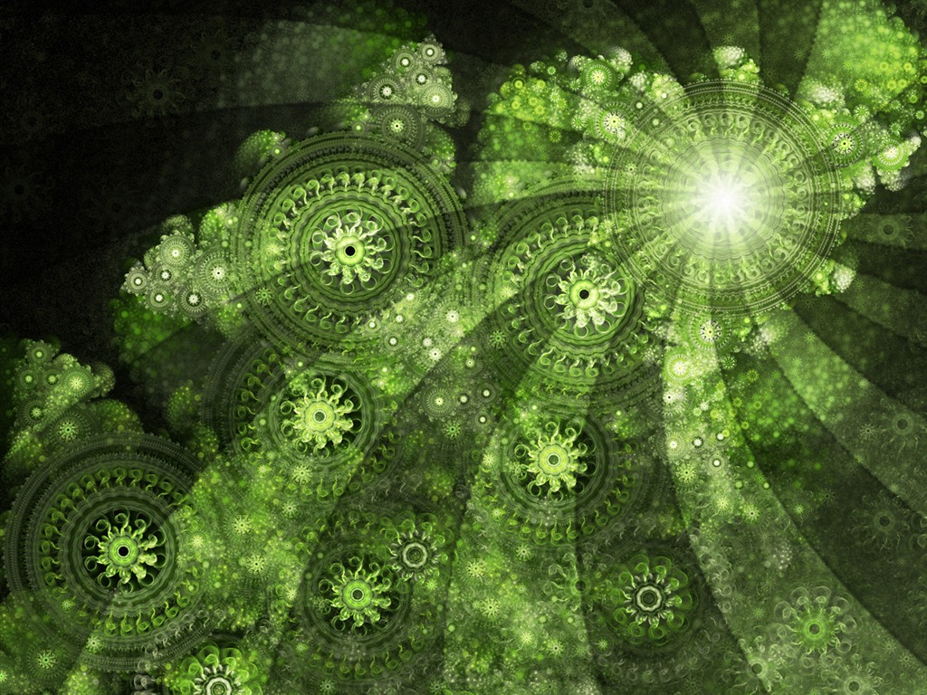 夢幻花朵設計壁紙(三) #13 - 1024x768