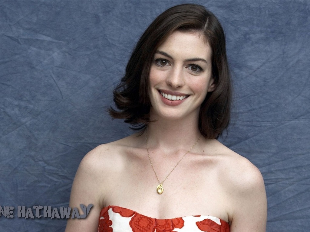 Anne Hathaway hermoso fondo de pantalla #5 - 1024x768