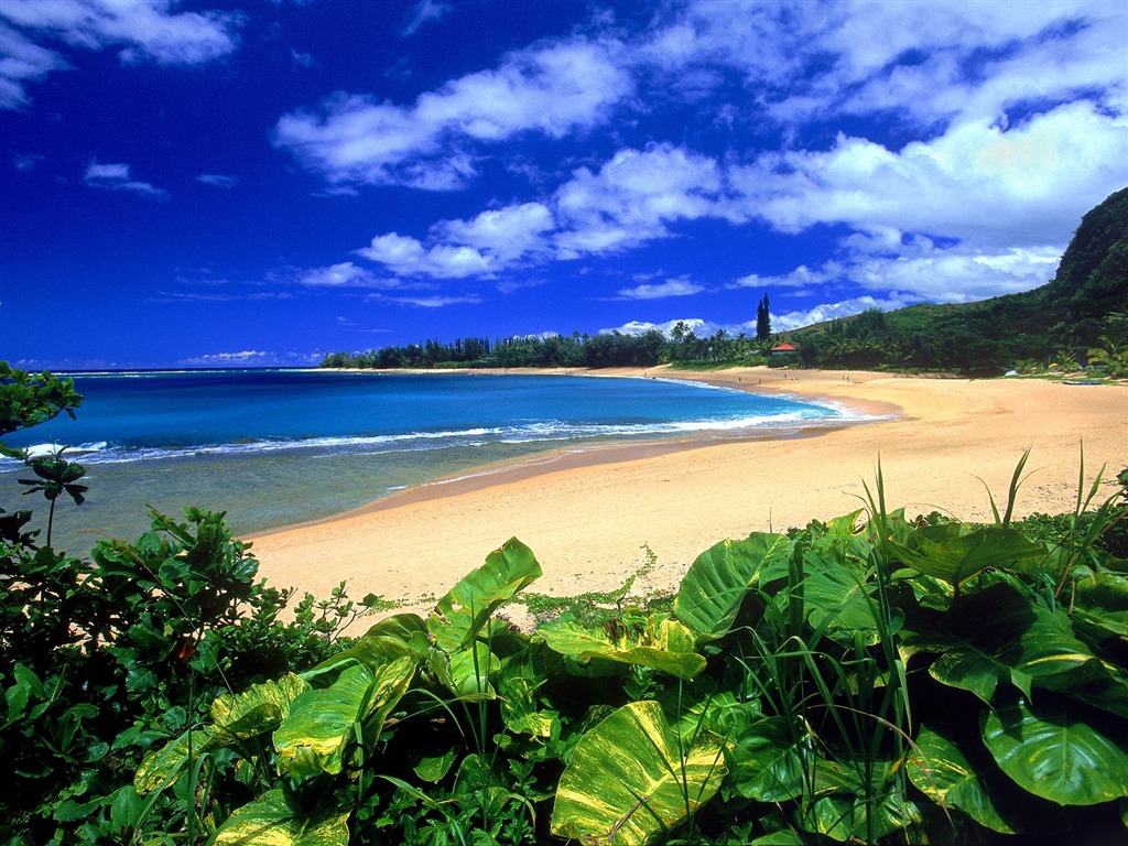 Hermoso paisaje de Hawai Wallpaper #11 - 1024x768