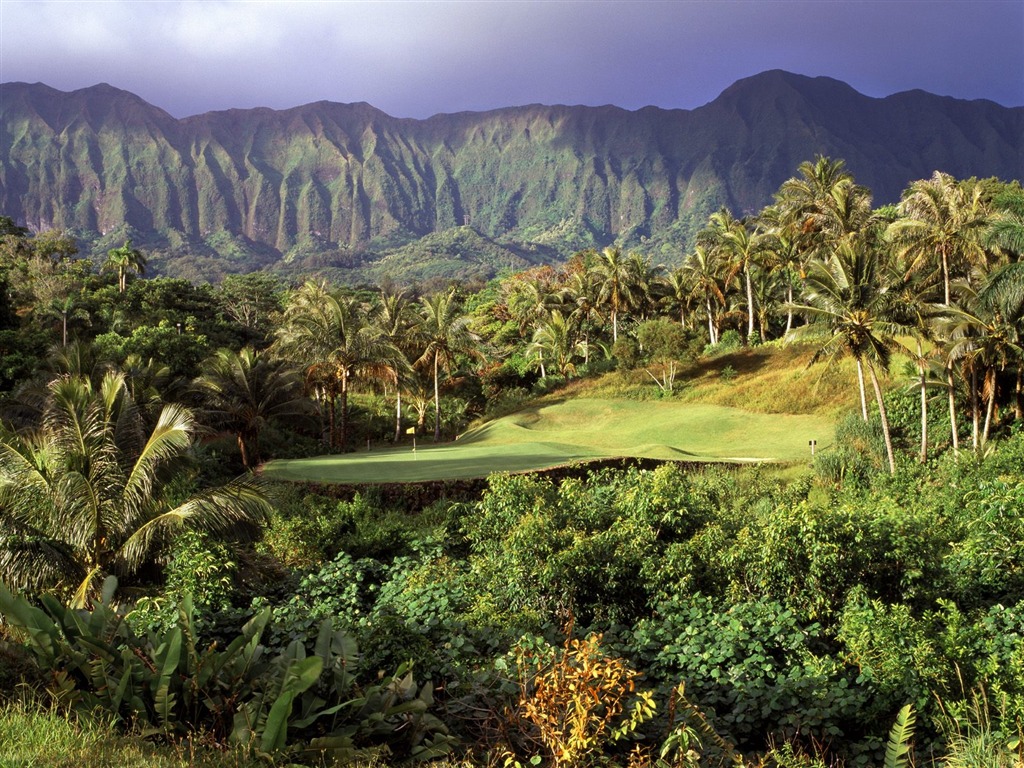 Hermoso paisaje de Hawai Wallpaper #21 - 1024x768