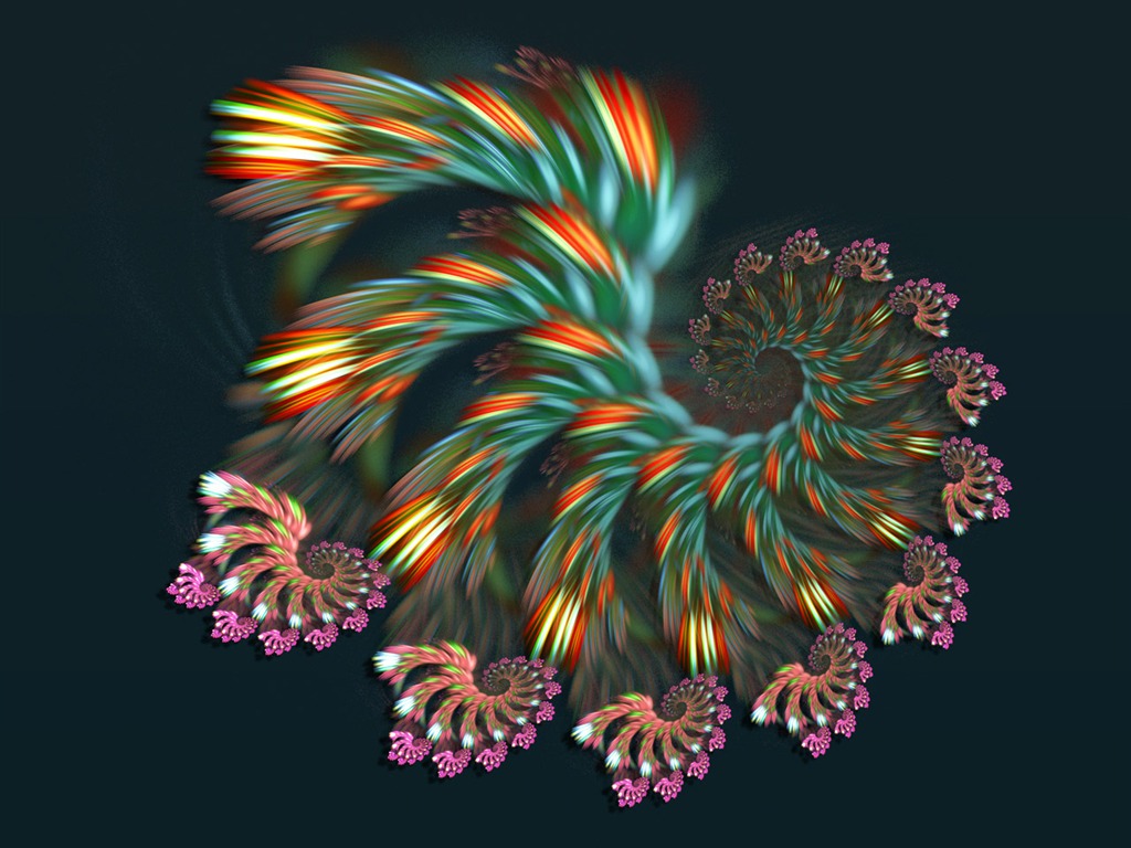 Dream květinovým vzorem tapety (4) #4 - 1024x768