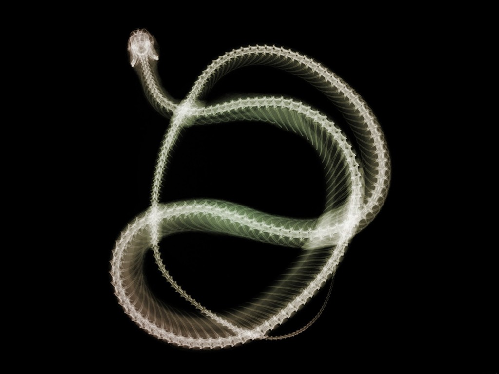 výhledu fluorescence širokoúhlý Tapeta #10 - 1024x768