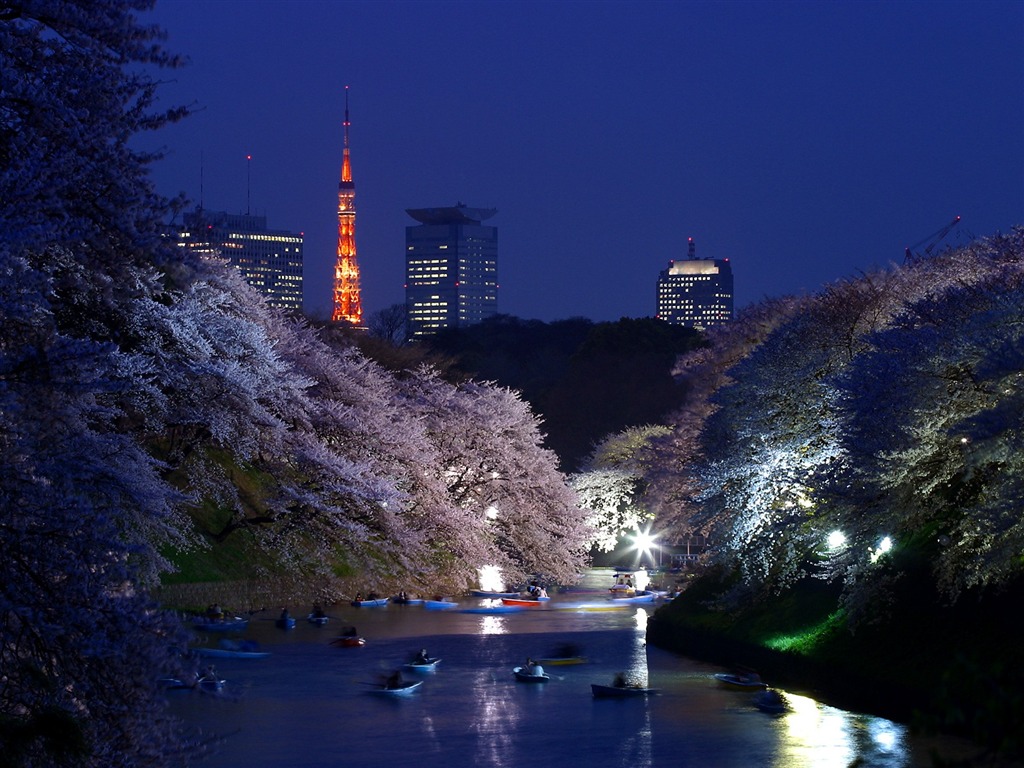 都市夜景壁紙 #17 - 1024x768
