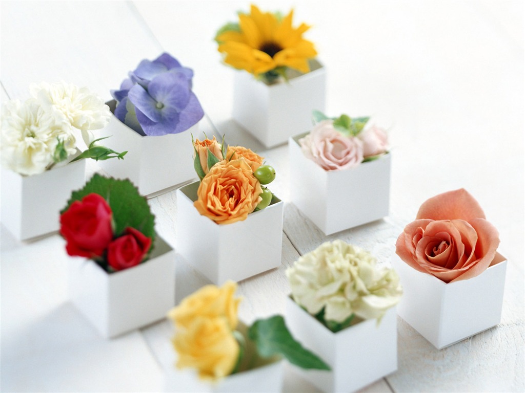Flowers and gifts wallpaper (1) #2 - 1024x768