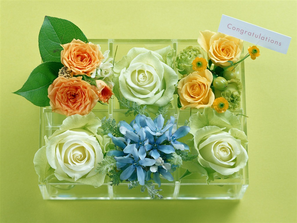 Flowers and gifts wallpaper (1) #8 - 1024x768