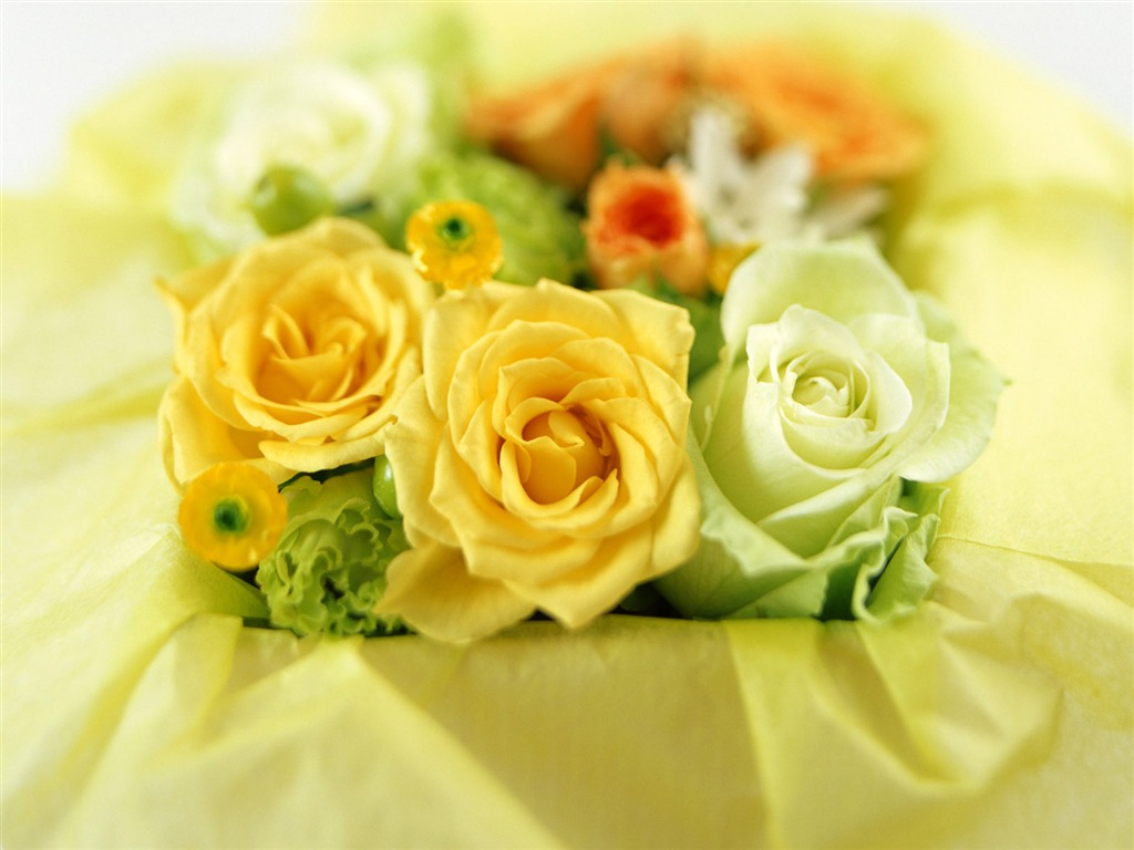Flowers and gifts wallpaper (1) #9 - 1024x768