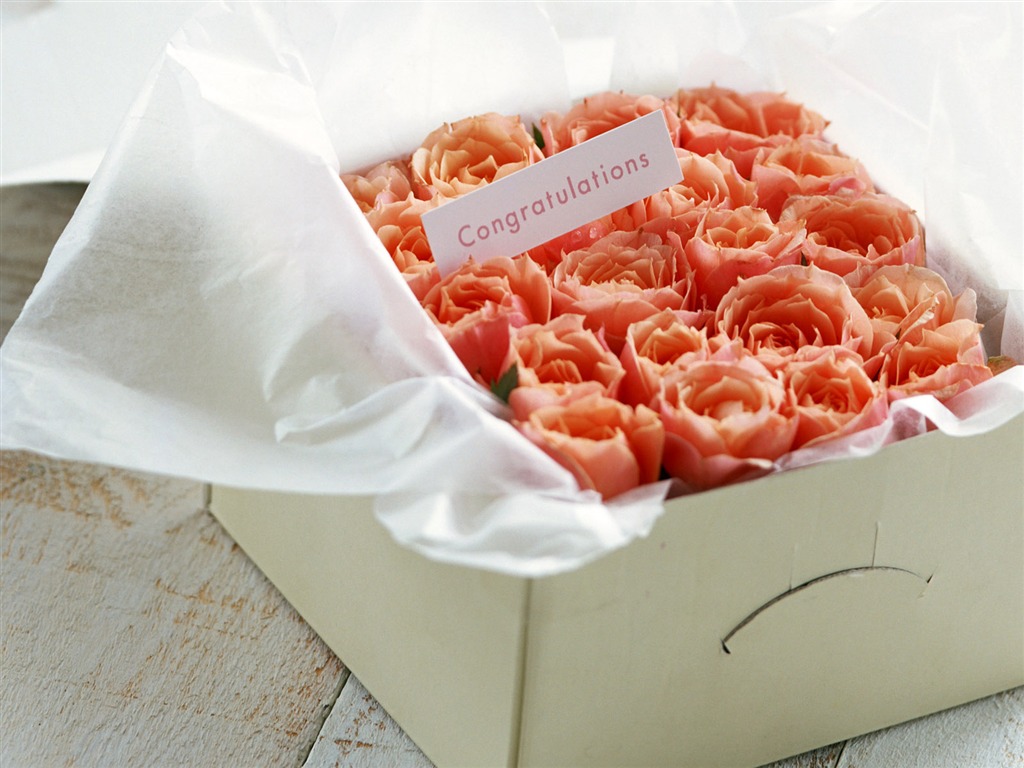 Flowers and gifts wallpaper (1) #10 - 1024x768