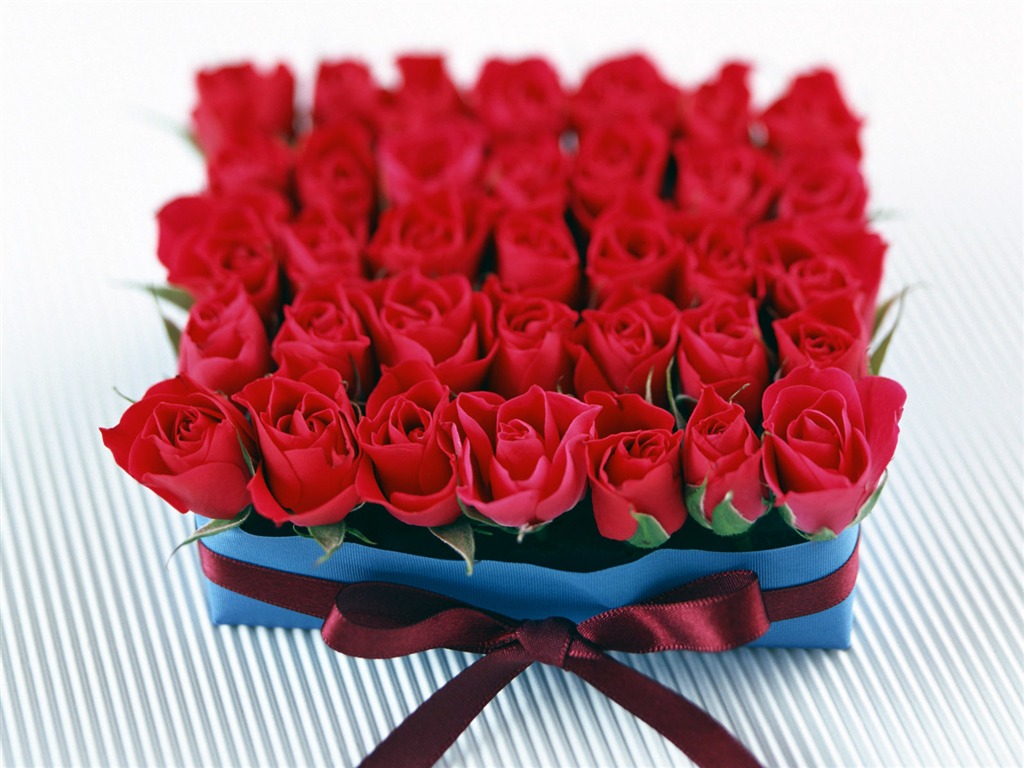 Flowers and gifts wallpaper (1) #12 - 1024x768