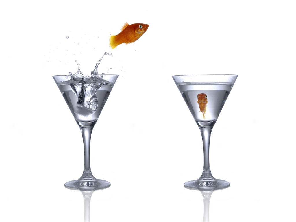 Jumping Goldfish Tapete #4 - 1024x768