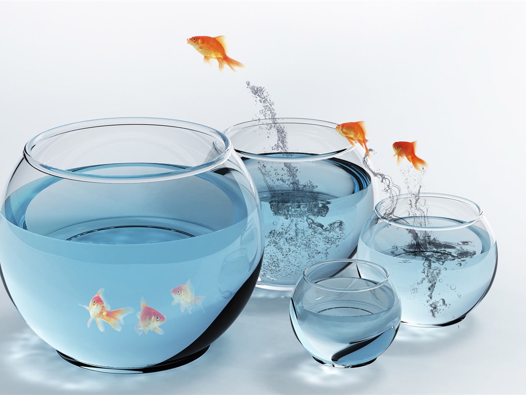 Jumping goldfish wallpaper #13 - 1024x768