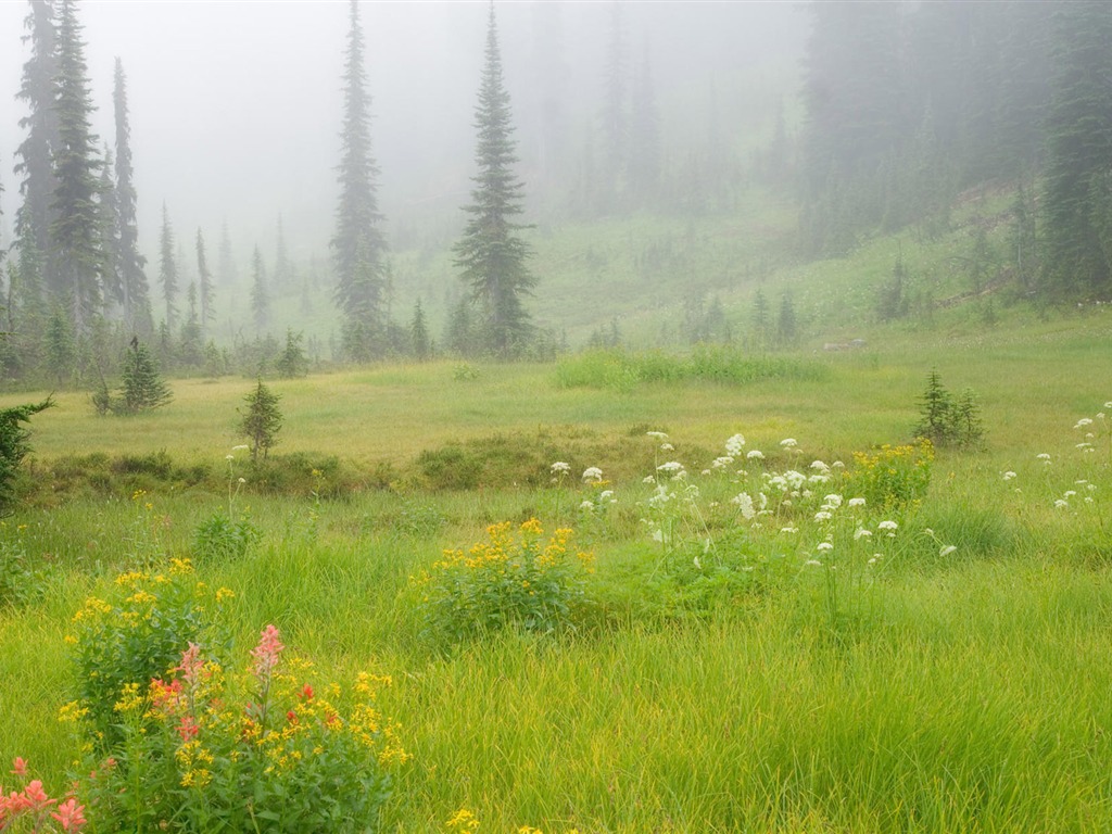 Canadian Landscape HD Wallpaper (2) #10 - 1024x768
