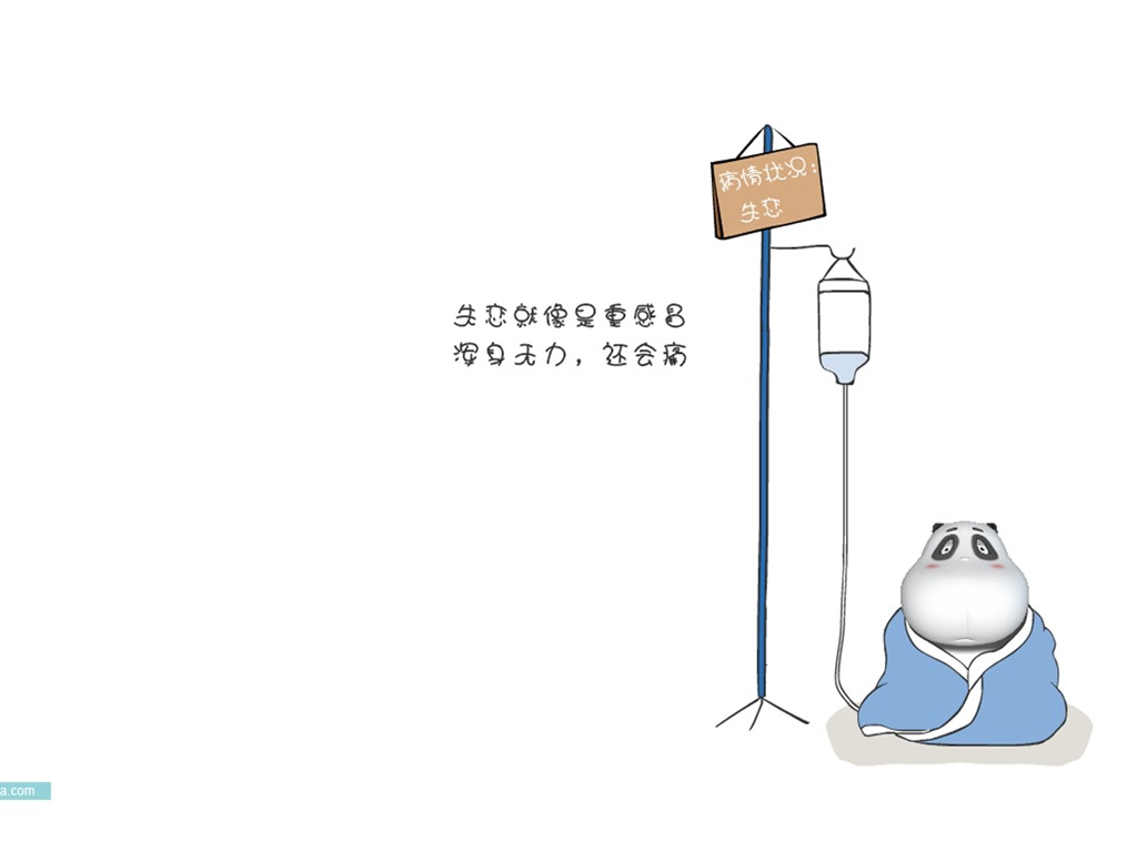 可愛酷巴熊壁紙(二) #6 - 1024x768