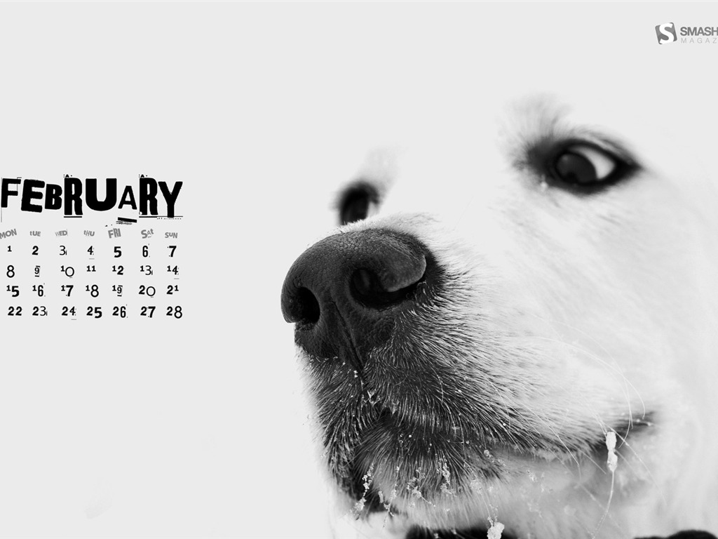 února 2010 Kalendář Wallpaper Creative #14 - 1024x768