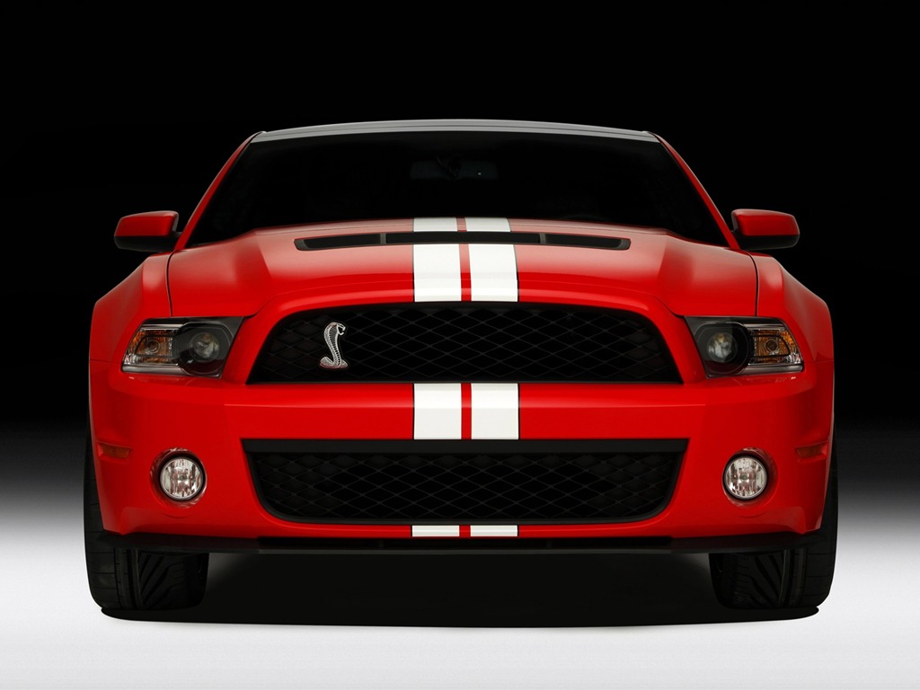 Ford Mustang GT500 Tapety #5 - 1024x768