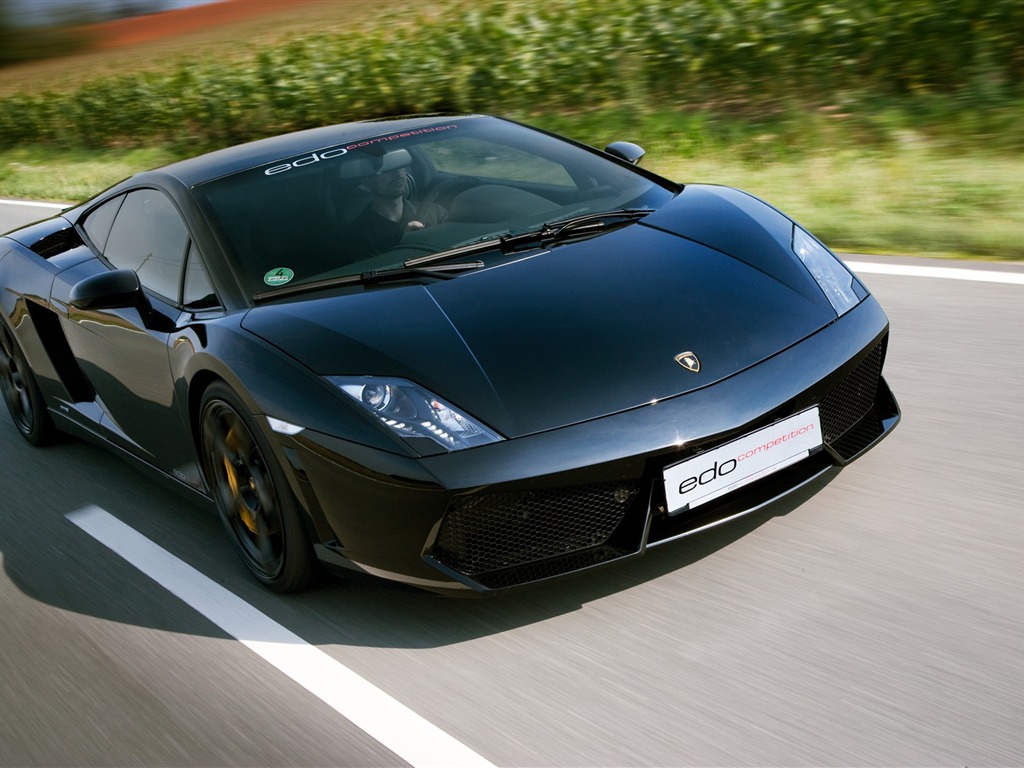 2010 Lamborghini wallpaper #15 - 1024x768