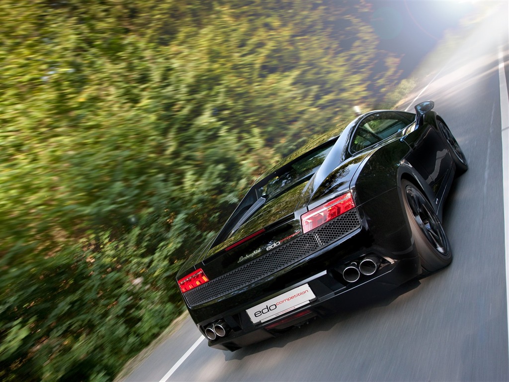 2010 Lamborghini fondo de pantalla #16 - 1024x768