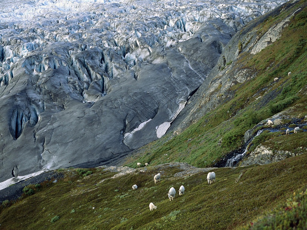 Fond d'écran paysage de l'Alaska (1) #8 - 1024x768