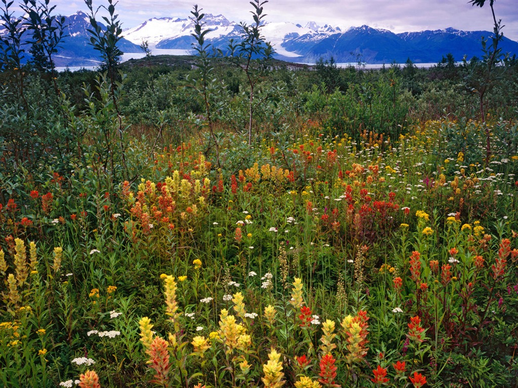 Fond d'écran paysage de l'Alaska (1) #16 - 1024x768