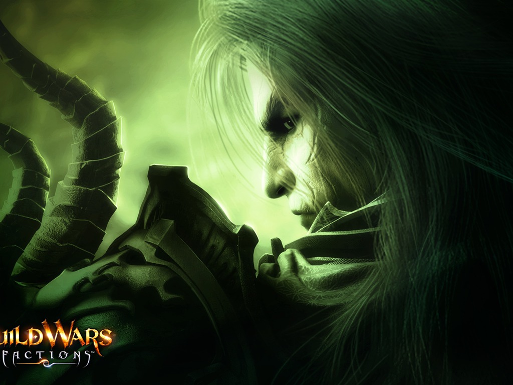 Guildwars wallpaper (3) #11 - 1024x768