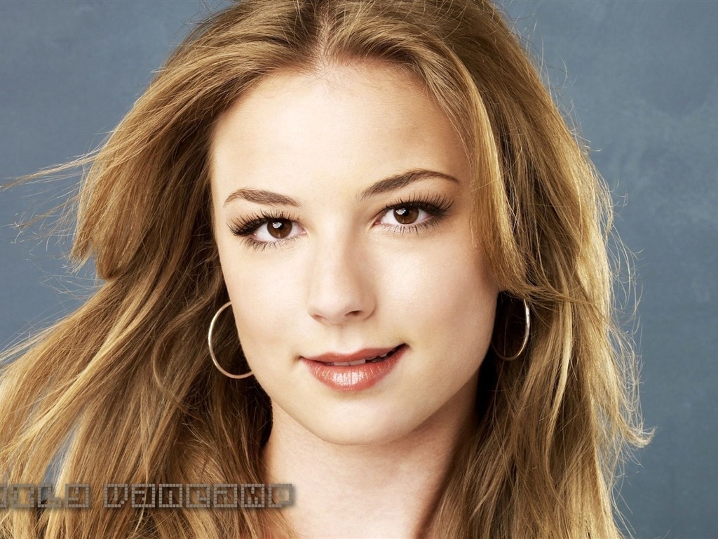 Emily VanCamp hermoso fondo de pantalla #1 - 1024x768